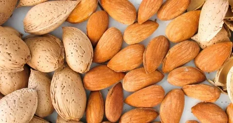 فروش بادام مامایی سنگی با کیفیت ارزان + خرید عمده